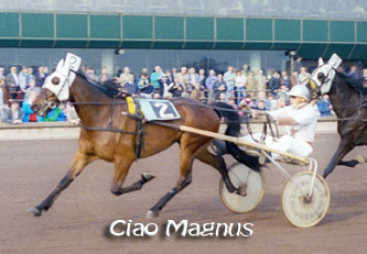 Ciao Magnus (2).jpg