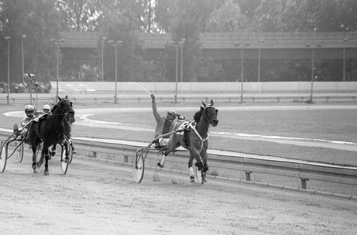 Action wint Greyhound.jpg