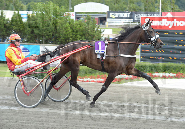 Fana Vendil heat.t66a73cfc.m600.w.4salnwmark2.png.xrA_J6VAO.jpg