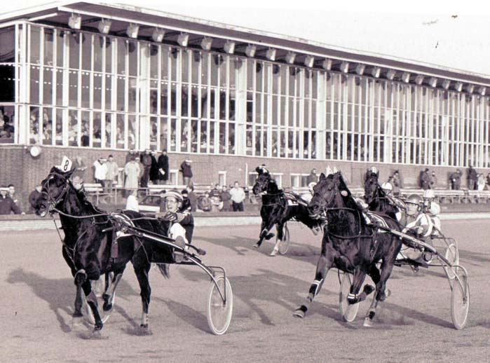 Massies Prize GPaard 94.jpg