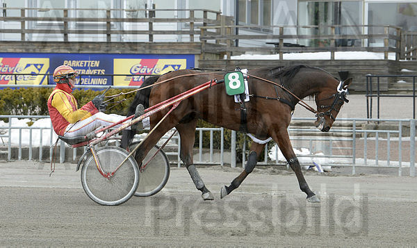 Digital Evolution def.t65e07712.m600.w.4salnwmark2.png.xHn_h5DPD.jpg