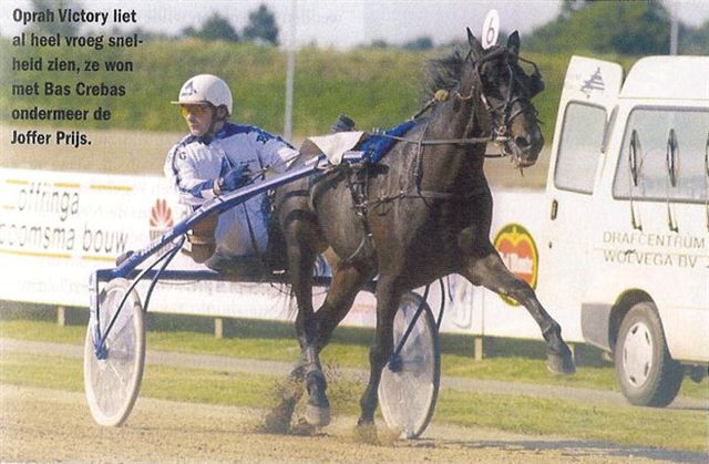 Oprah Victory Zomer Stakes 99.jpg