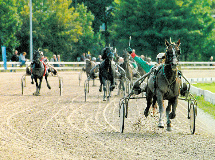 Daso 4km 1998.jpg