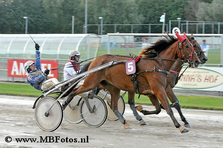 Dinand Convital 4 km 2016.jpg