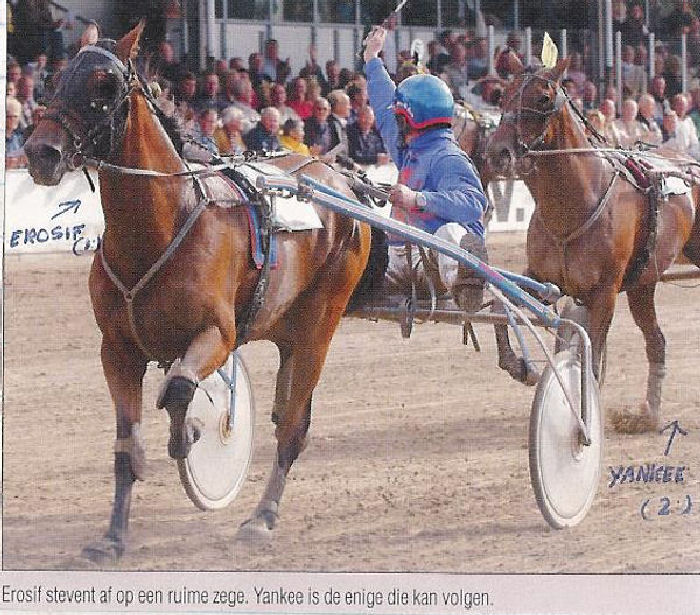 Erosif 4km 2003 a.jpg