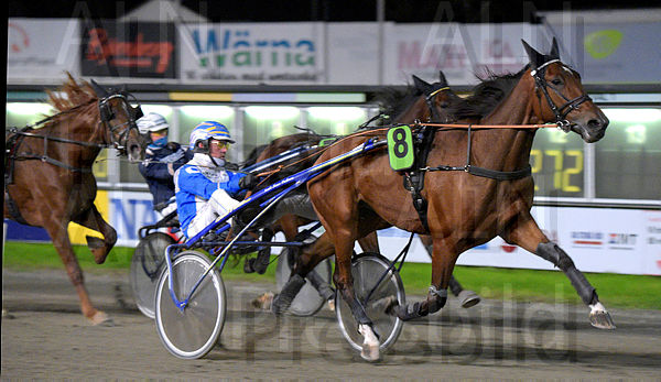 Tutankhaton mål.t67253091.m600.w.4salnwmark2.png.x3P0n7_Vr.jpg