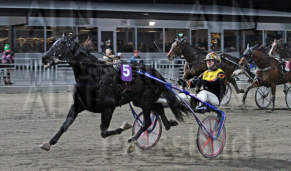 Pedal To D Metal  mål2.t67563533.m600.w.4salnwmark2.png.xsHoRYdYC.jpg