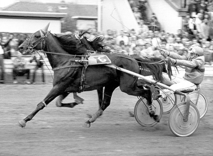 Star van Epse 4km 1982.jpg