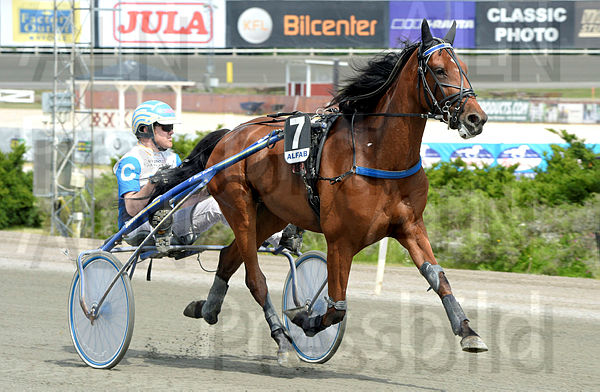 Ziva heat.t62bed41a.m600.w.4salnwmark2.png.xspjq3W81.jpg