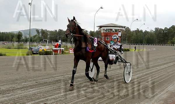 Dealer Face def 1.t66ccd960.m600.w.4salnwmark2.png.x5p9xpdUy.jpg