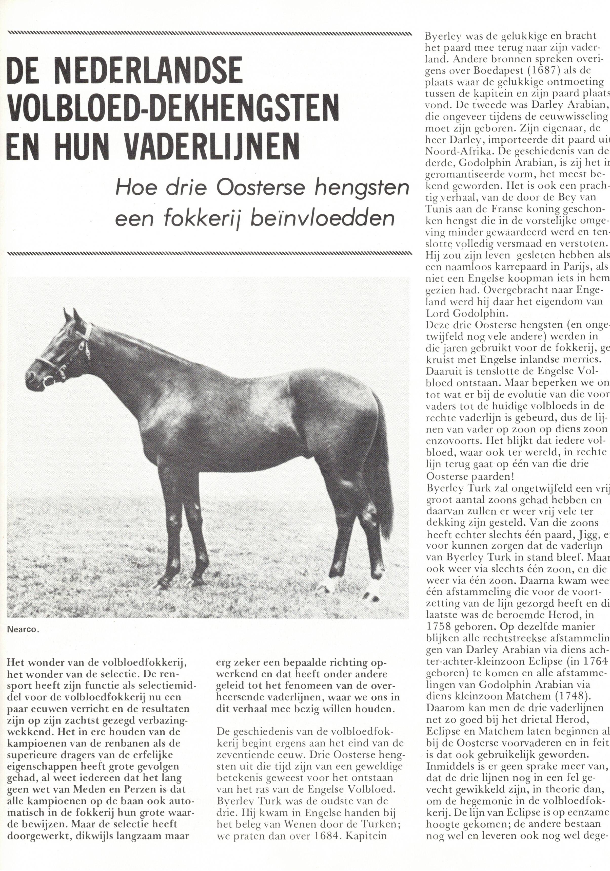 Scan2024-12-21_195357 - kopie - kopie.jpg