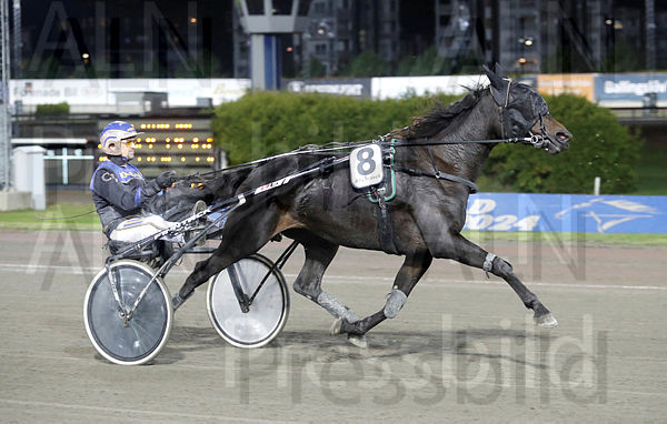 Honey B. heat 1.t63805009.m600.w.4salnwmark2.png.xVAeiuwfg.jpg