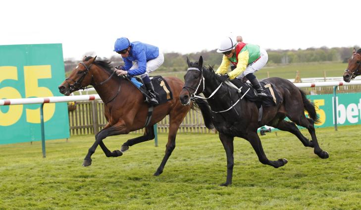 Endless20-20-20Stakes20Newmarket20UK2018202024%20racingfotos_85916454858.jpg