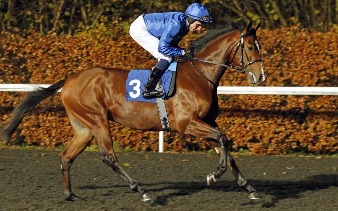 El20-%20Kempton.jpg