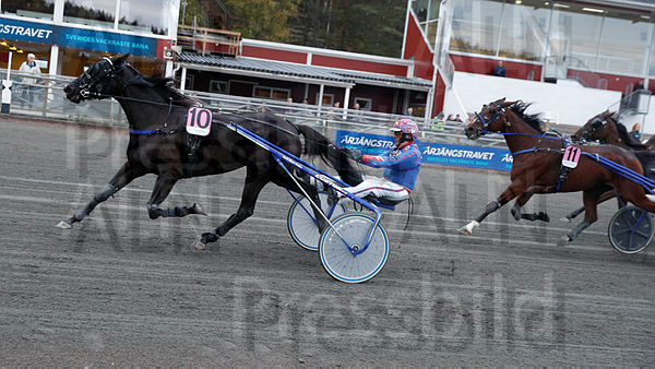 Tasherit mål.t6339d5a4.m600.w.4salnwmark2.png.x6G4k4lAR (1).jpg