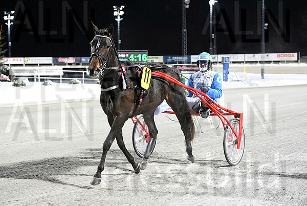 Red Pond's Luna segerde (2).t65a6b15f.m600.w.4salnwmark2.png.x-op6-UBX.jpg