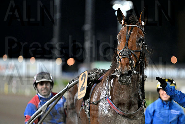 Nightrain Boko def.t6706c79e.m600.w.4salnwmark2.png.x3T-BjITk.jpg