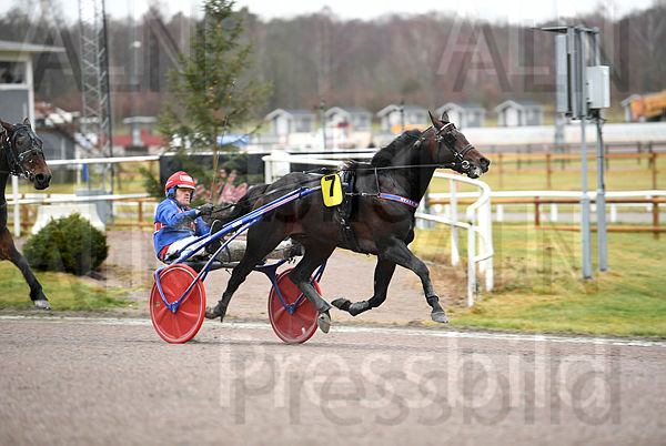 Finn Palema mål 207 (3).t67693c56.m600.w.4salnwmark2.png.x16-G9uzd.jpg