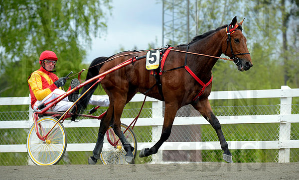 Digital Arrival def.t5ebad7fe.m600.w.4salnwmark2.png.xpTP599TT.jpg