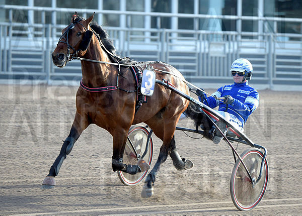 Le Roi Mearas heat.t66326e8c.m600.w.4salnwmark2.png.xDKJ4Aae6 (1).jpg