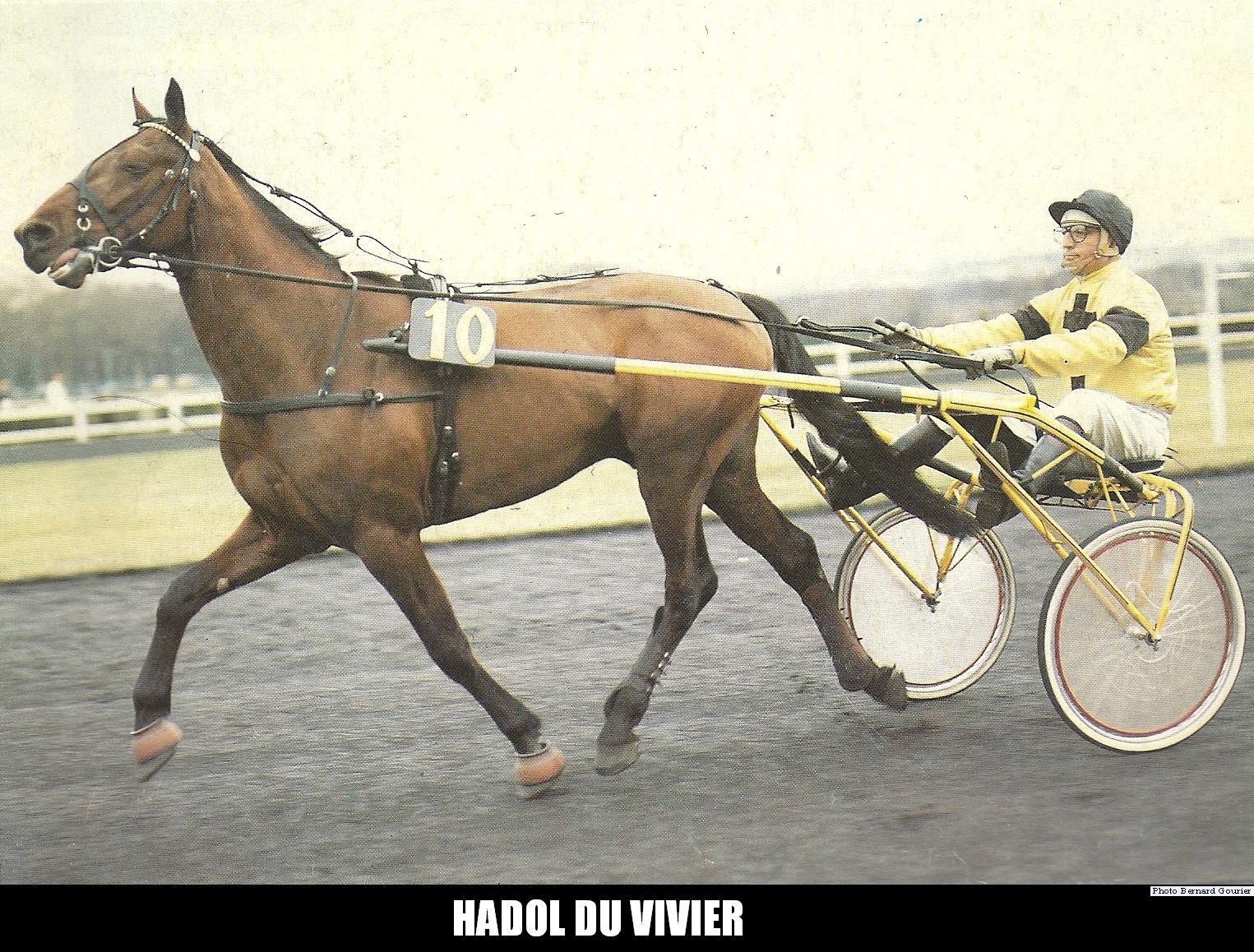 ob_f7b940_hadol-du-vivier-00.jpg