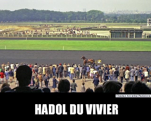 ob_e50c24_hadol-du-vivier-sp-ac-copie.jpg