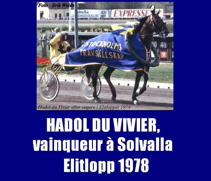 ob_d916ad_hadol-du-vivier-ewi-1.jpg