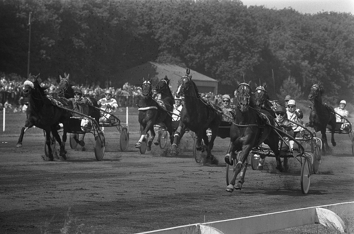 1200px-Duindigt,_finish_Grote_Prijs_der_Lage_Landen_,_Ego_Boy_(rechts)_gaat_als_eerste_,_Bestanddeelnr_926-5048.jpg
