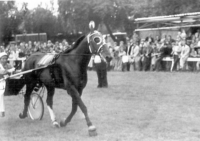 GPdLL77 Bellino II def.jpg