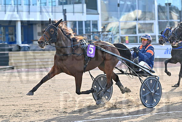 Misty Dragon mål.t67b5d677.m600.w.4salnwmark2.png.xIs_fGQH2.jpg