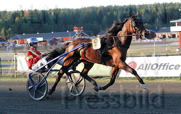Not for Sale heat 1.t66fd5115.m600.w.4salnwmark2.png.xK_CD3Boa (1).jpg