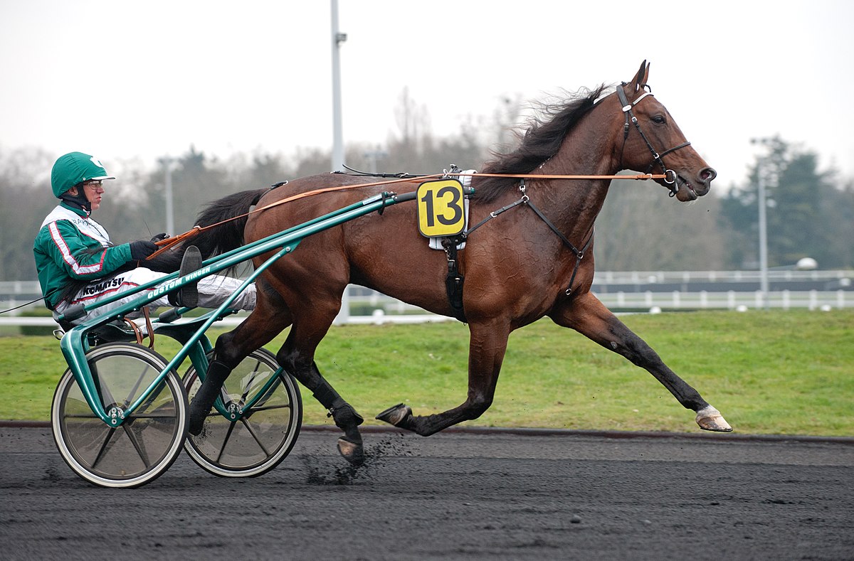 1200px-Örjan_Kihlström_&_Maharajah_2011-02-20_001.jpg