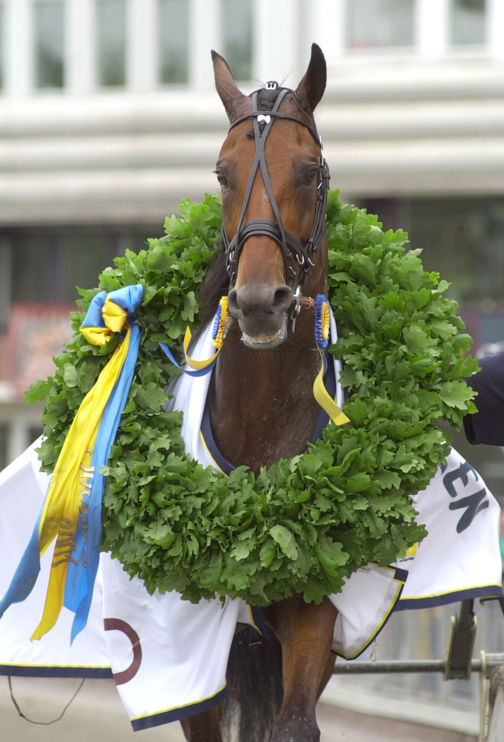 Victory_Tilly_2001_001.jpg