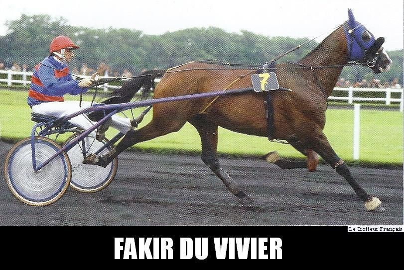 Fakir-du-Vivier-0007.jpg
