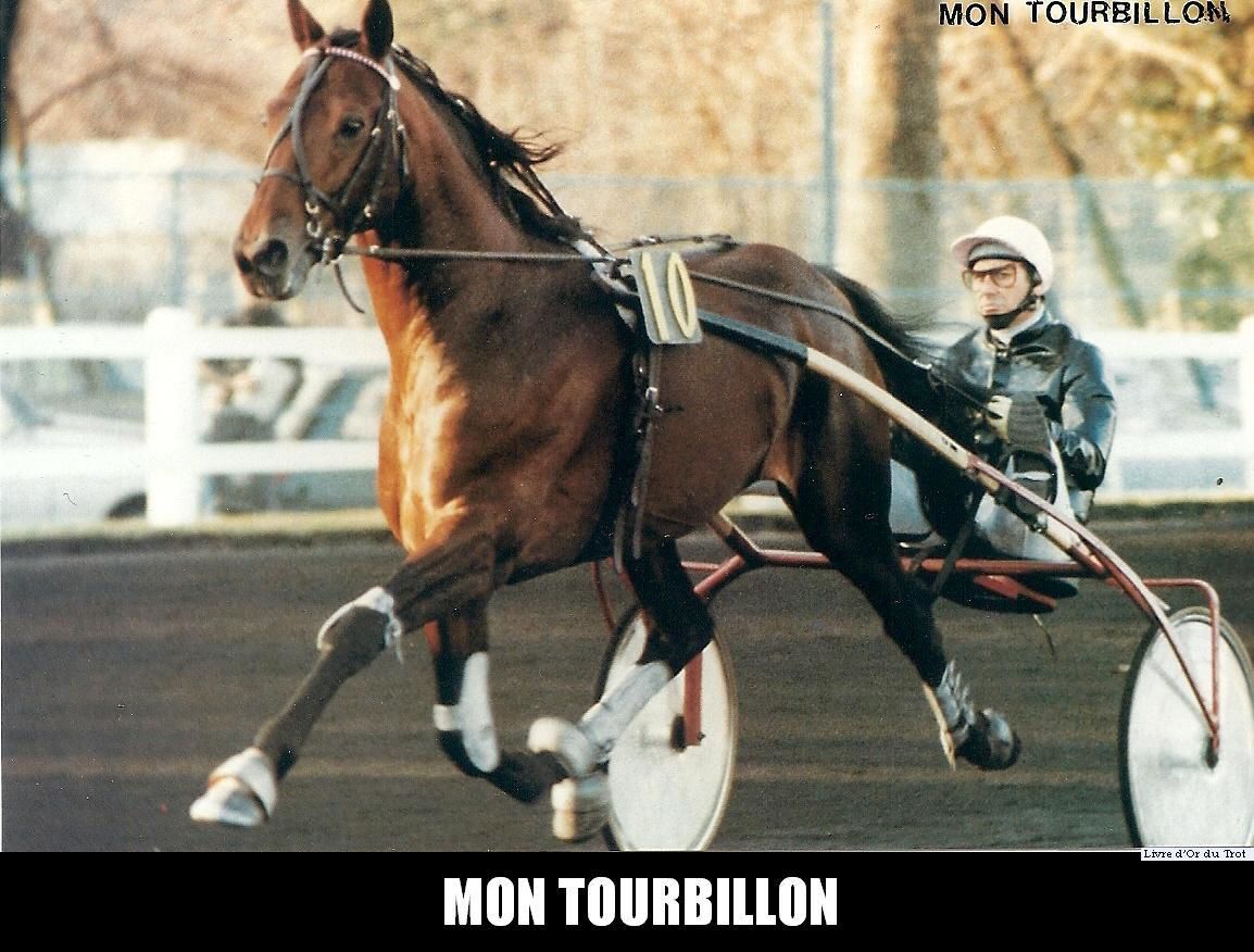 ob_bc74d0_mon-tourbillon-02 (1).jpg