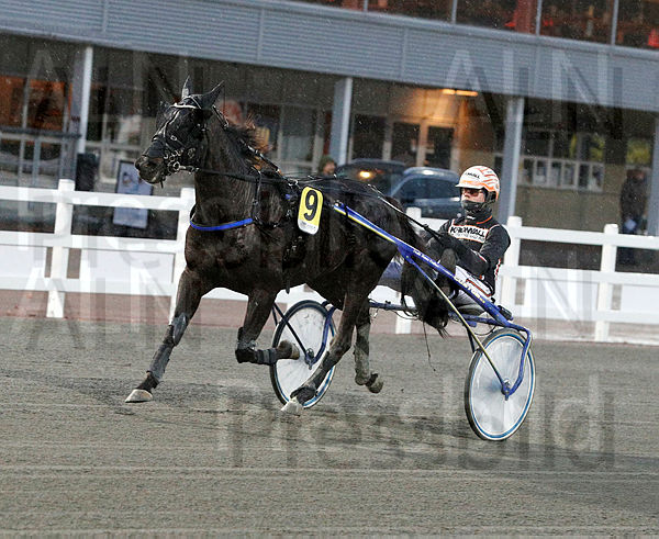 Tasherit heat.t634dbdcb.m600.w.4salnwmark2.png.xx9she9s0 (1).jpg