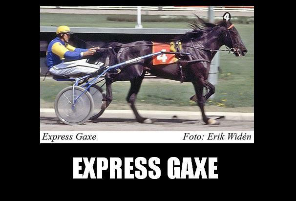 Express-Gaxe--1-.jpg