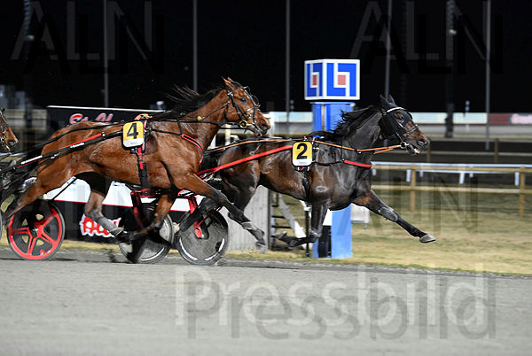 Joe Dalton mål 860 (5).t67cc7abc.m600.w.4salnwmark2.png.x2gf6ibai.jpg