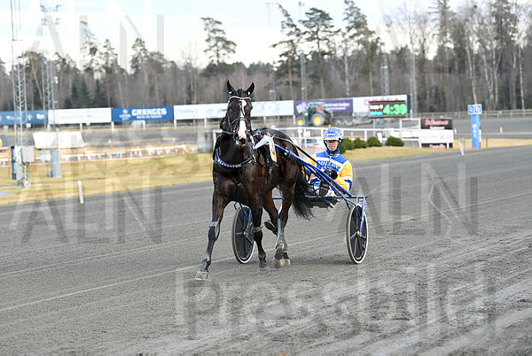 Mellby Jinx segerdef 648.t67cc629a.m600.w.4salnwmark2.png.xZic982Ce.jpg