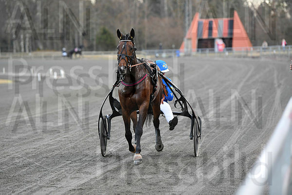 Gudrid Face segerdef 535.t67cc62c7.m600.w.4salnwmark2.png.xNkUD2ajN.jpg