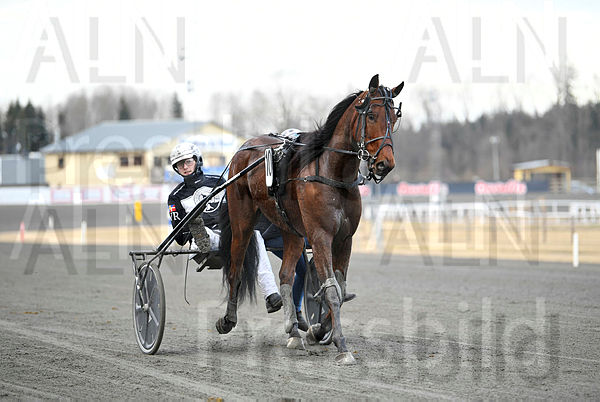 Kyrie Eleison segerdef 84.t67cc5738.m600.w.4salnwmark2.png.xuqpAGsy6.jpg