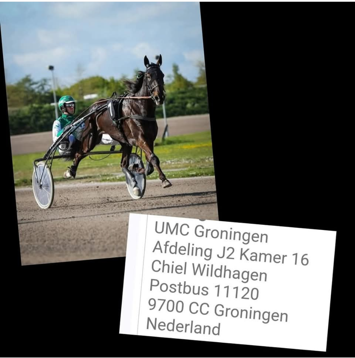 Giel Wildhagen.png