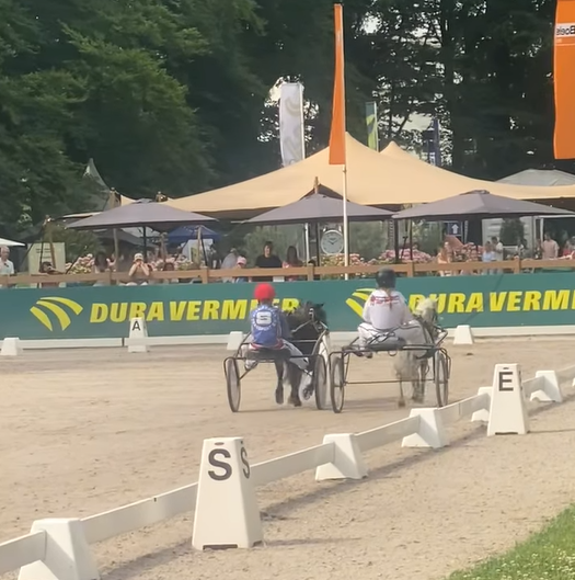Demonstratie van snelheid op de rechte lijn.