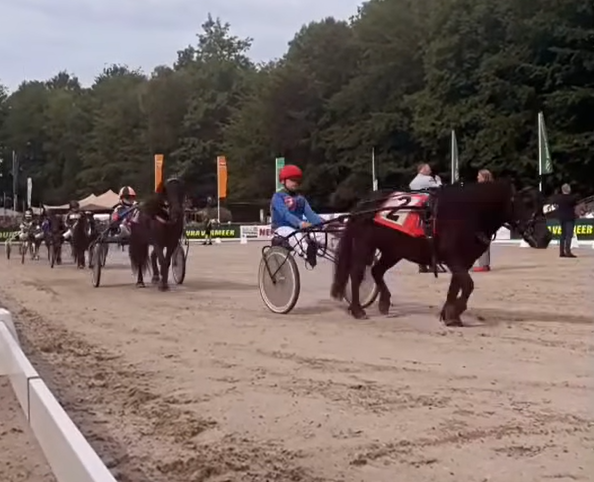 Voorop rijdt Bjorn van der Blonk met Petra, gevolgd door Noor van Diest met Orlando.