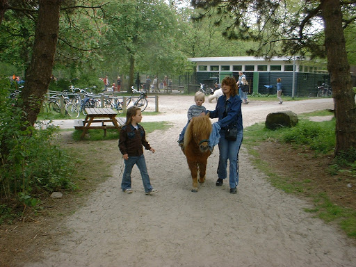 ponyrijdenstadspark.jpg