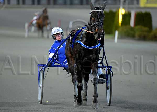 Cash Cowboy def.t5e289fd4.m600.w.4salnwatermark3.tif.xv2NkOtdf.jpg
