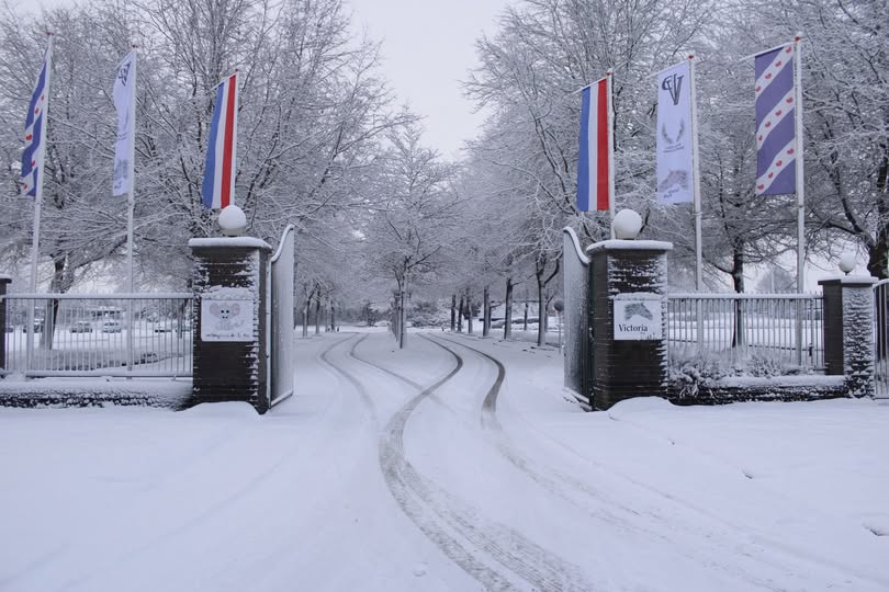 Victoria Park in de winter.jpg