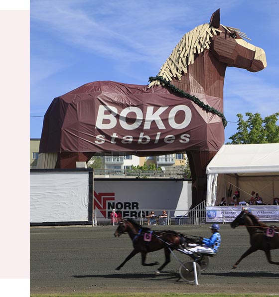boko_paard.jpg