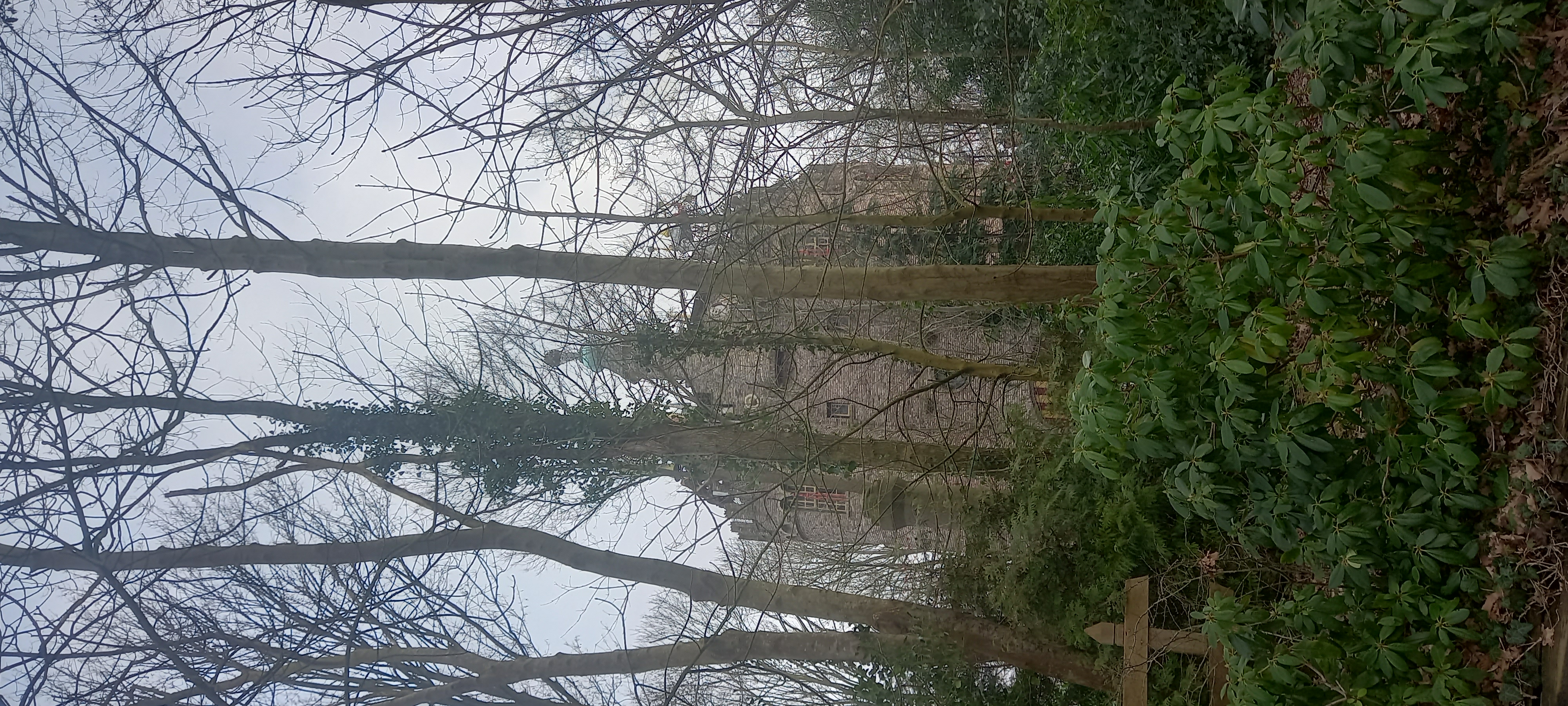 20260124_154348.jpg