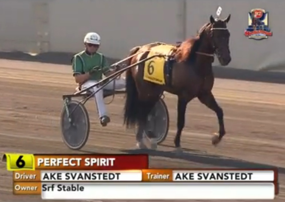 PerfectSpirit_Hambletonian_1_170805.jpg